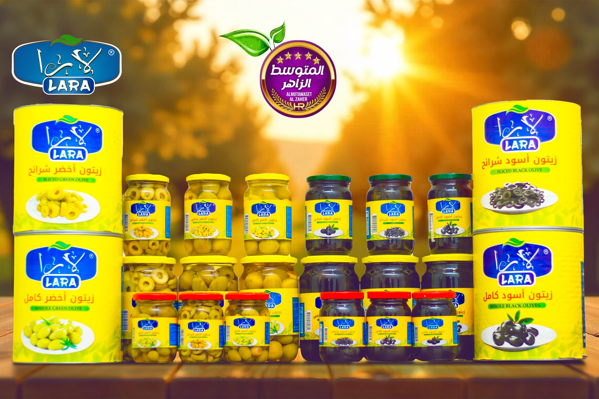 515110203_1193793939425555_5271017117190249552_n