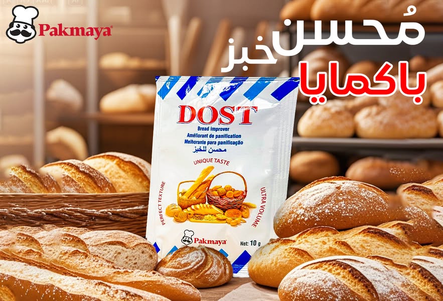 WhatsApp Image 2025-05-12 at 11.21.21 AM